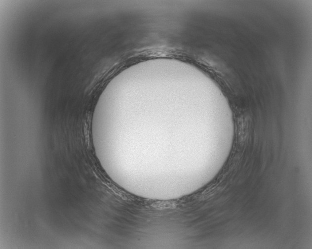 X0000064041446200601270920