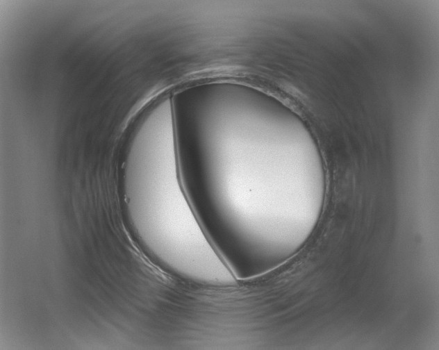 X0000064041450200601270920