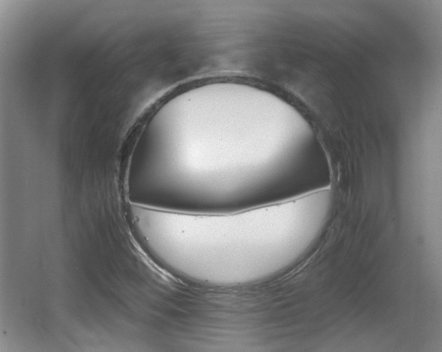 X0000064041452200601270920