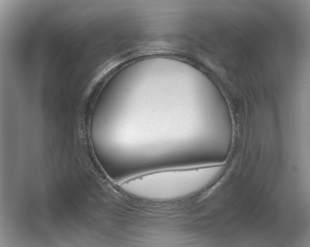 X0000064041453200601270919