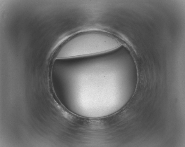 X0000064041456200601270919