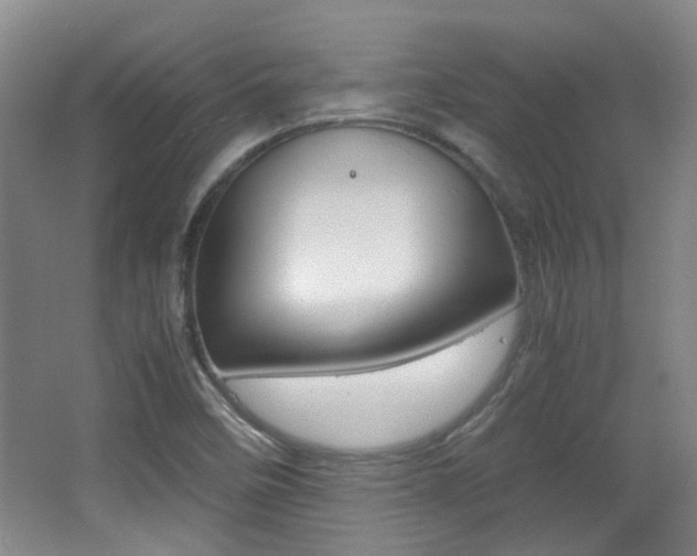 X0000064041458200601270919