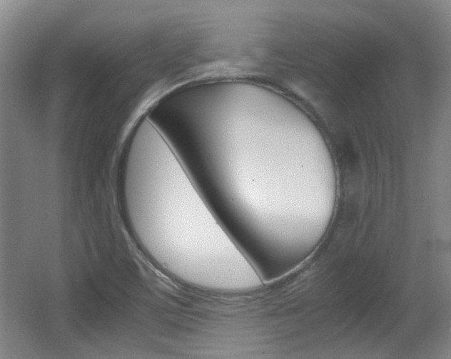 X0000064041459200601270919