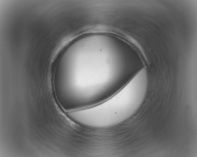 X0000064041464200601270919
