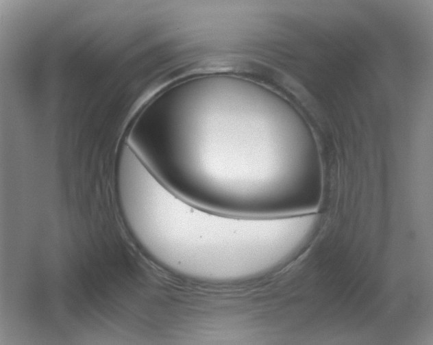 X0000064041465200601270919