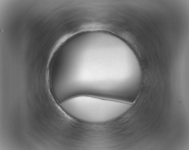 X0000064041472200601270919