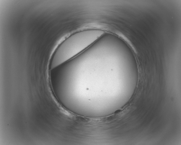 X0000064041477200601270919