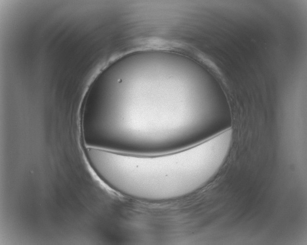 X0000064041479200601270919