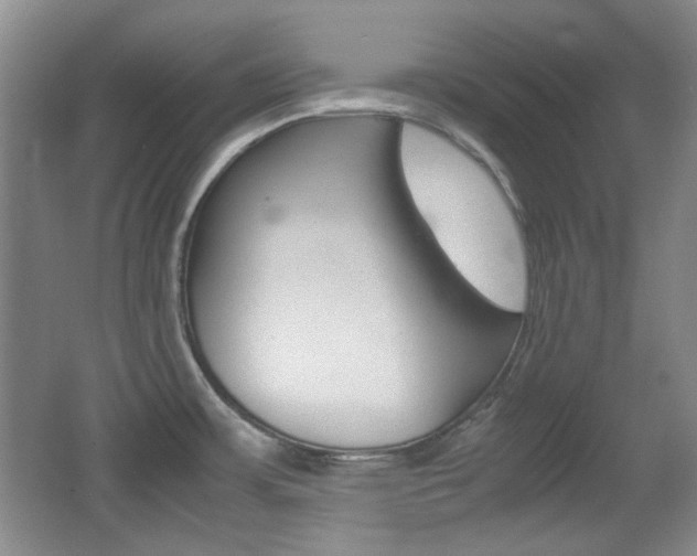 X0000064041483200601270919