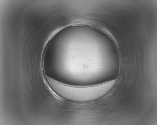 X0000064041485200601270919