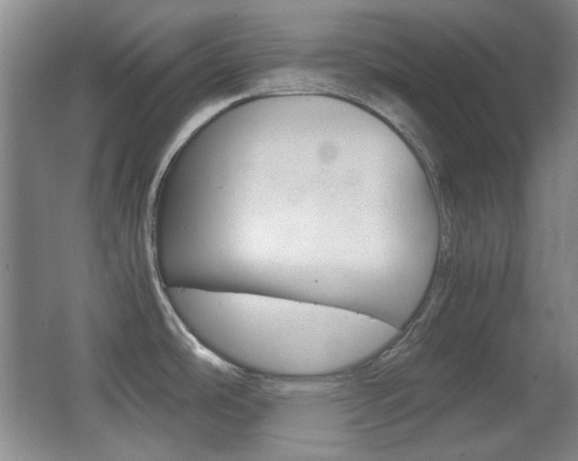 X0000064041486200601270919
