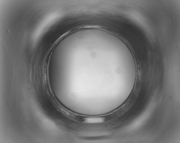 X0000064041487200601270919