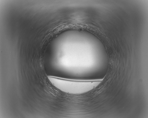 X0000064041490200601270918
