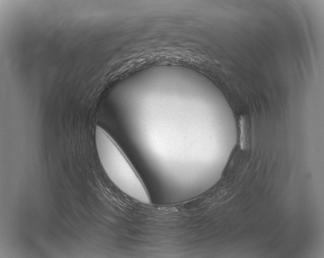 X0000064041491200601270918
