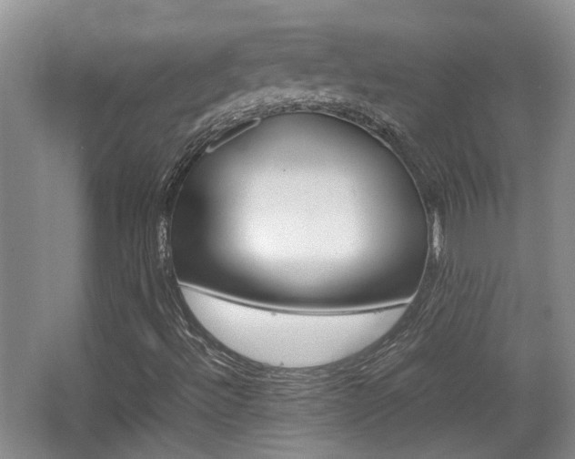 X0000064041492200601270918