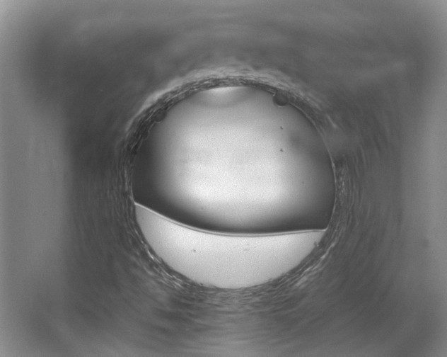 X0000064041494200601270918