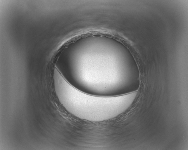 X0000064041496200601270918