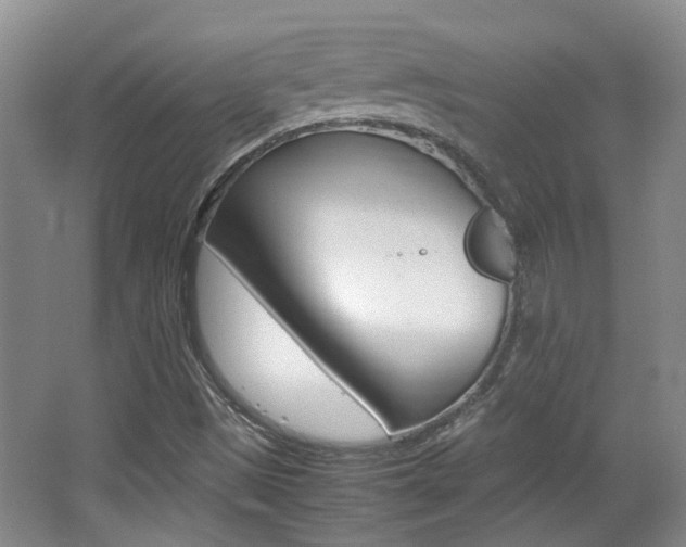 X0000064041497200601270918