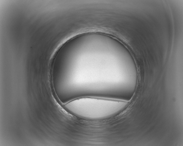 X0000064041500200601270918