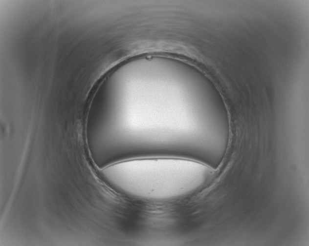 X0000064041505200601270918