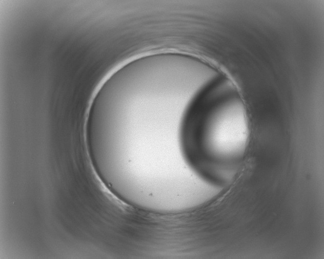 X0000064041516200601270919