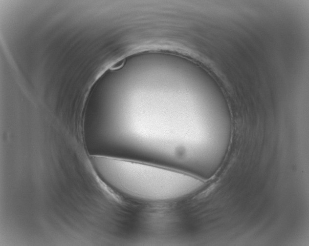 X0000064041521200601270919