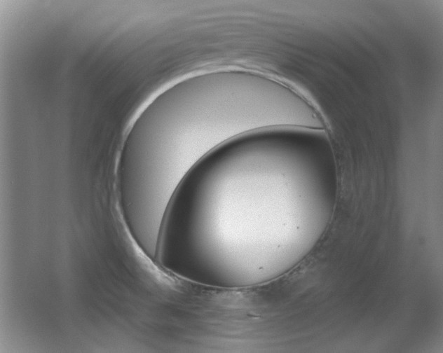 X0000064041524200601270919