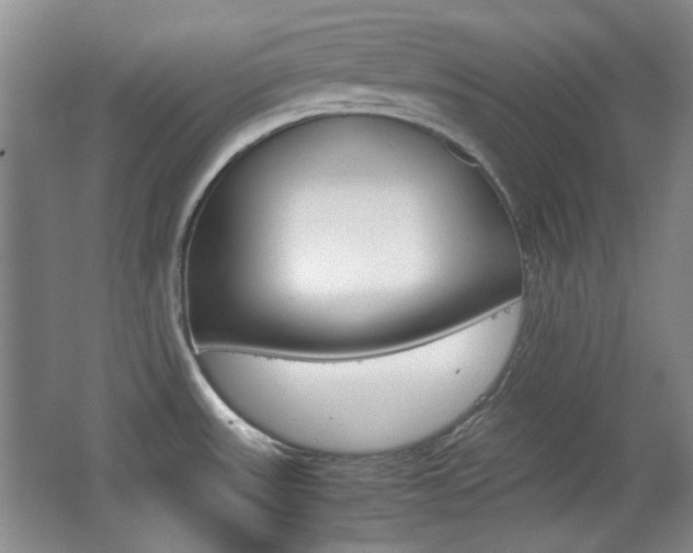 X0000064041531200601270919