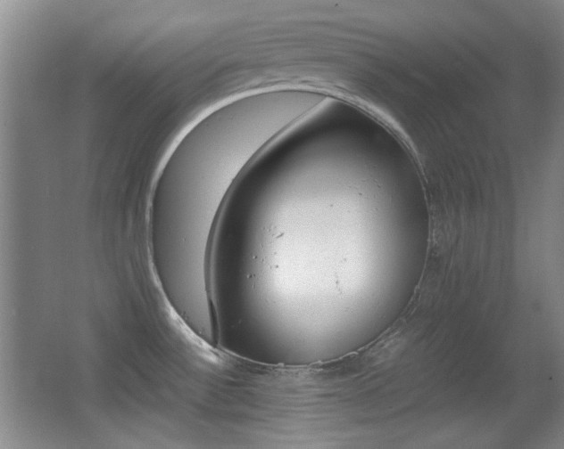 X0000064041532200601270919