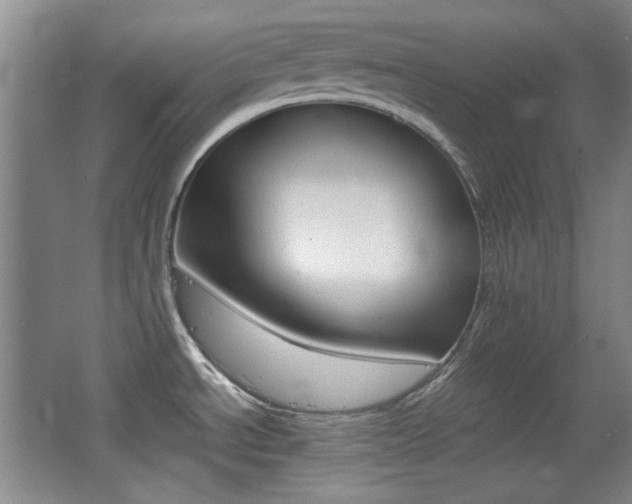X0000064041534200601270919