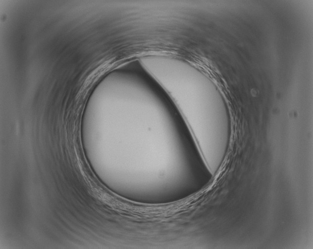 X0000064040001200601271214