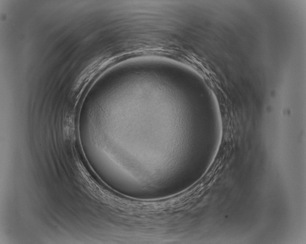 X0000064040002200601271214