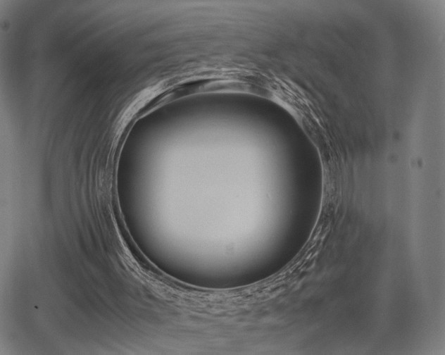 X0000064040003200601271214