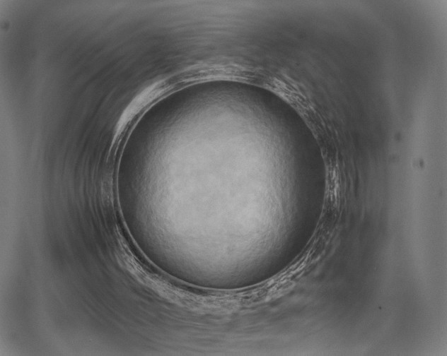 X0000064040004200601271214