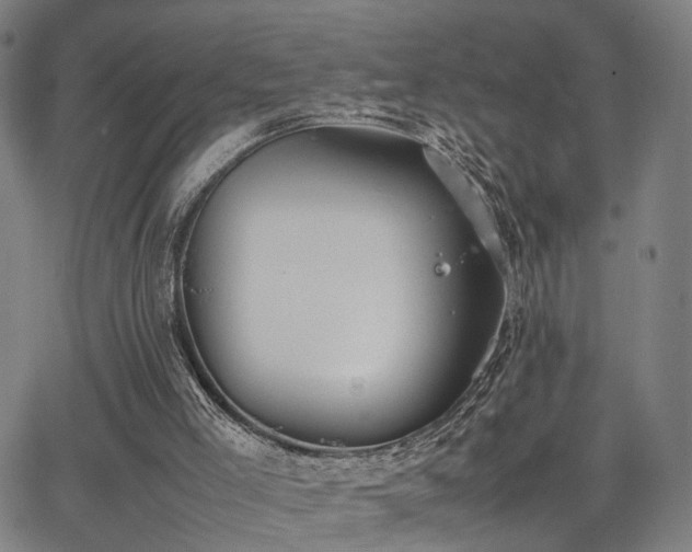 X0000064040005200601271214