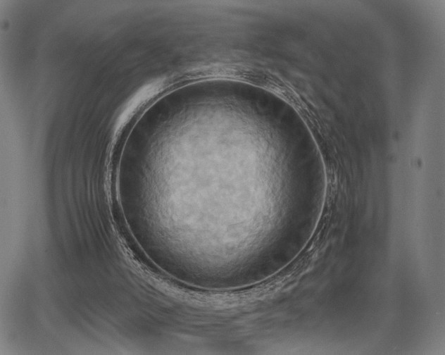 X0000064040006200601271214