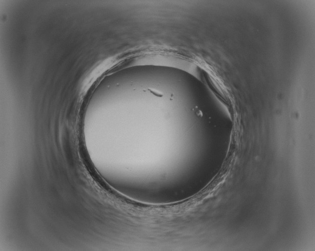 X0000064040007200601271214