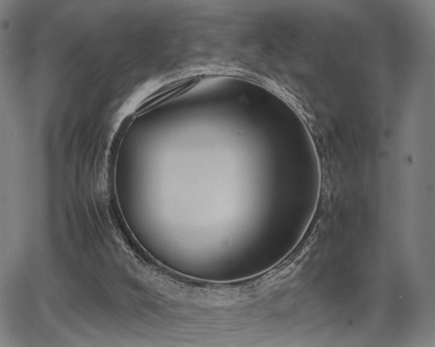 X0000064040008200601271214