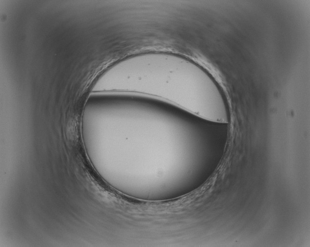 X0000064040009200601271214