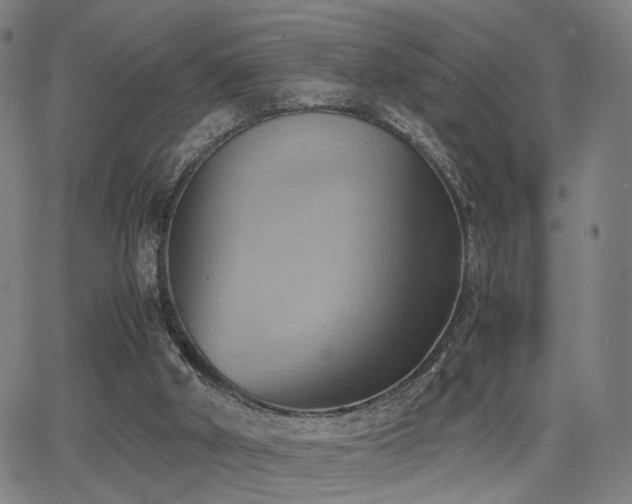 X0000064040010200601271213