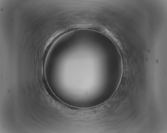 X0000064040011200601271213