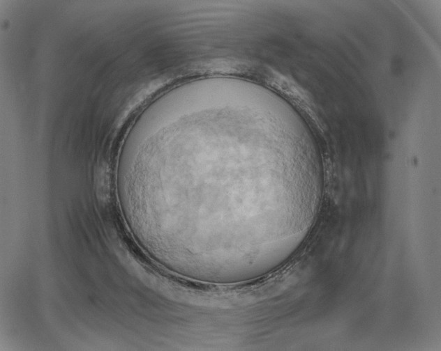 X0000064040012200601271213