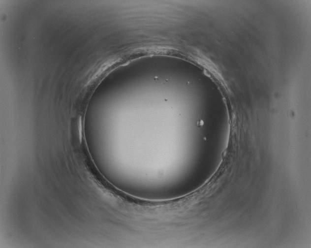 X0000064040013200601271213