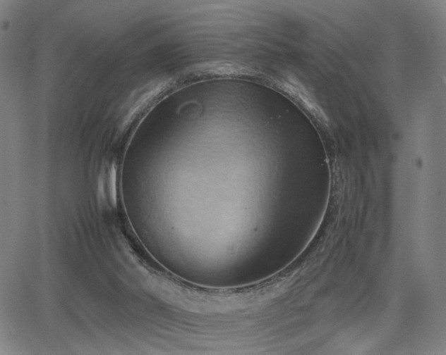 X0000064040014200601271213