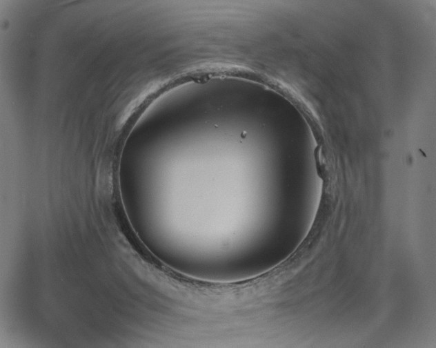 X0000064040015200601271213