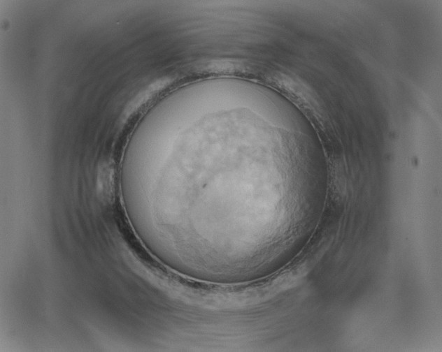 X0000064040016200601271213