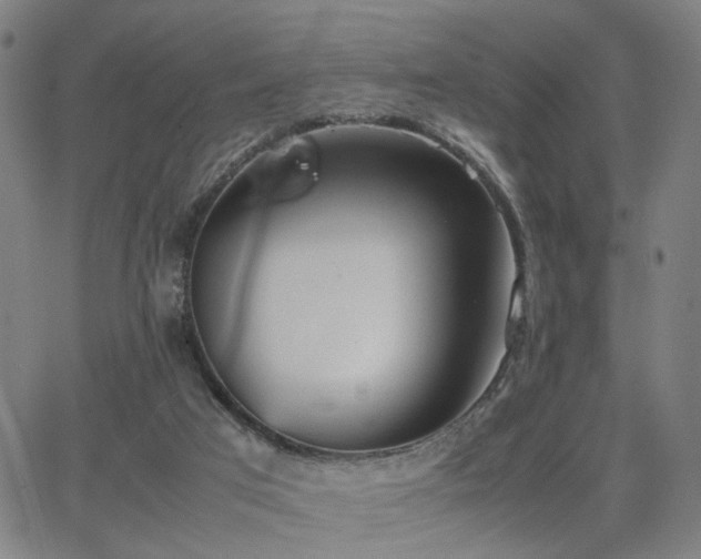 X0000064040017200601271213