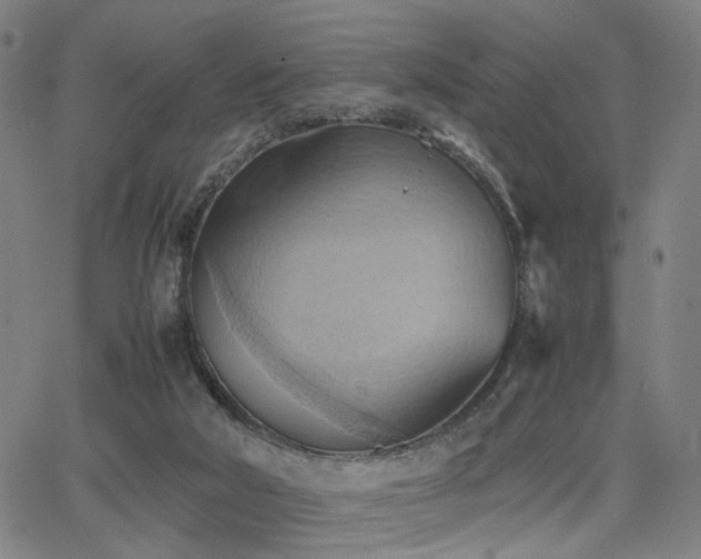 X0000064040018200601271213