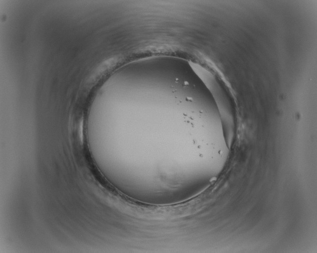 X0000064040019200601271213