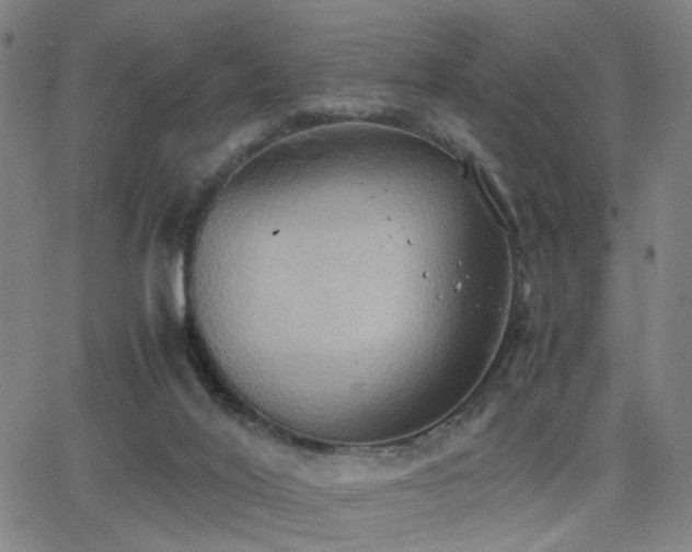 X0000064040020200601271213